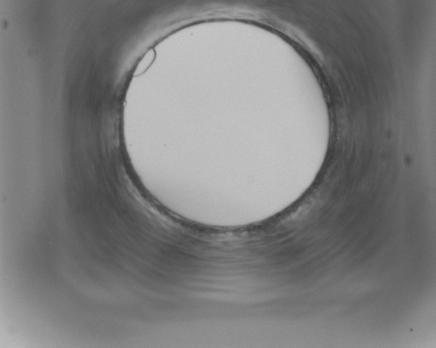 X0000079341504200612151855