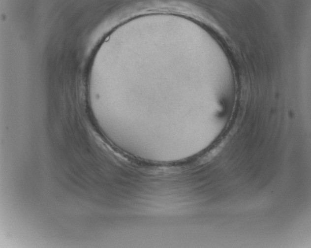 X0000079341506200612151855