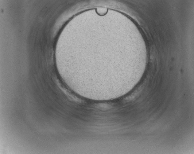 X0000079341507200612151855