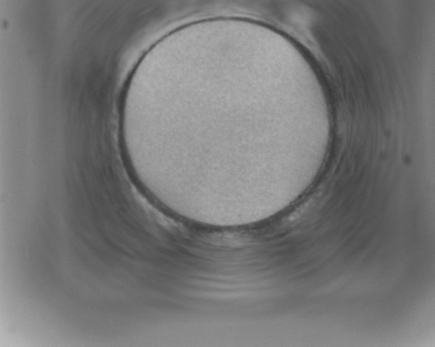 X0000079341508200612151855