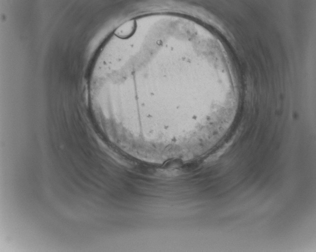 X0000079341509200612151855