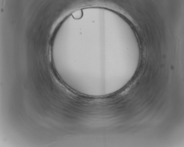 X0000079341510200612151855