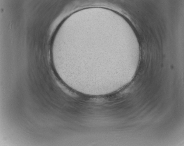 X0000079341511200612151855