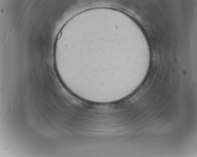 X0000079341512200612151855