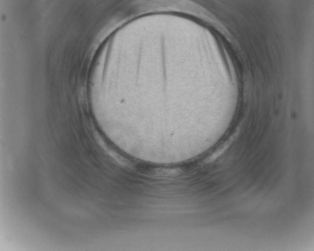 X0000079341513200612151855