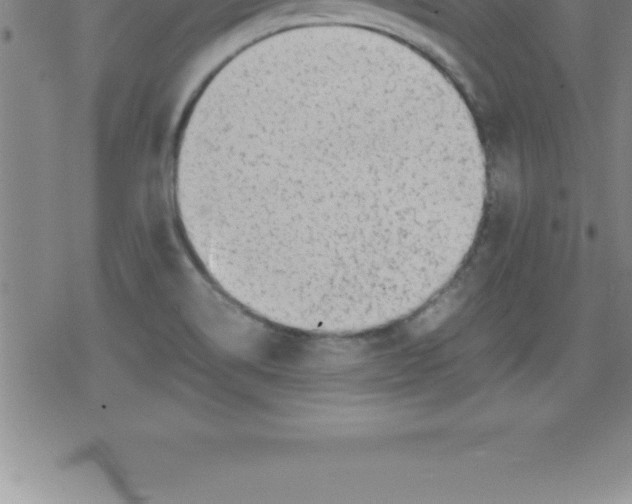 X0000079341514200612151855