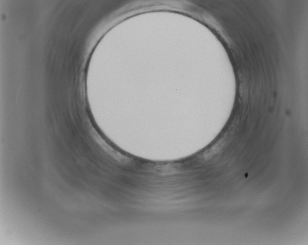 X0000079341516200612151855