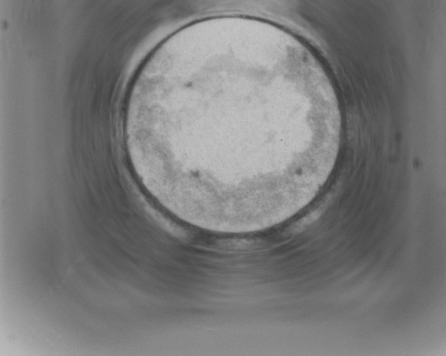 X0000079341517200612151855