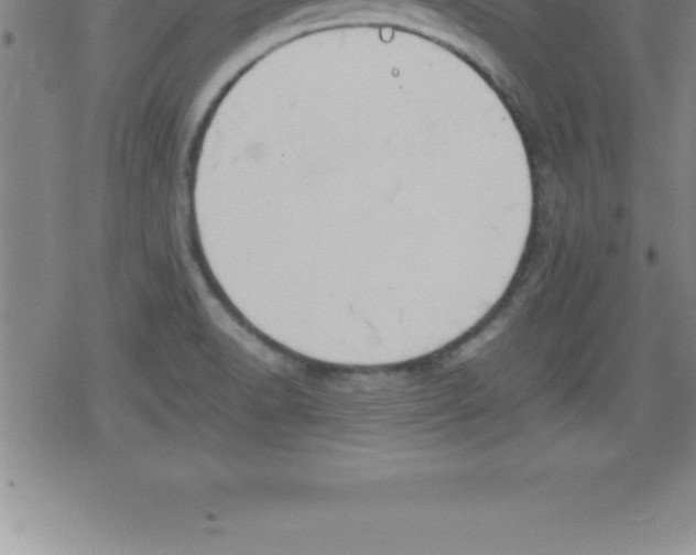 X0000079341518200612151855