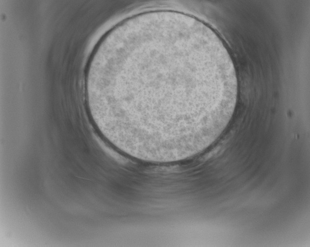 X0000079341519200612151855