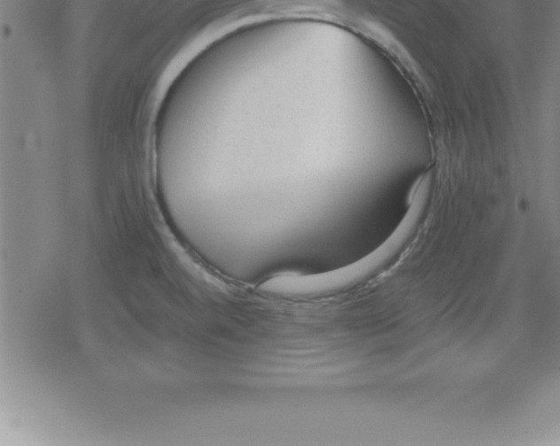 X0000079341520200612151855