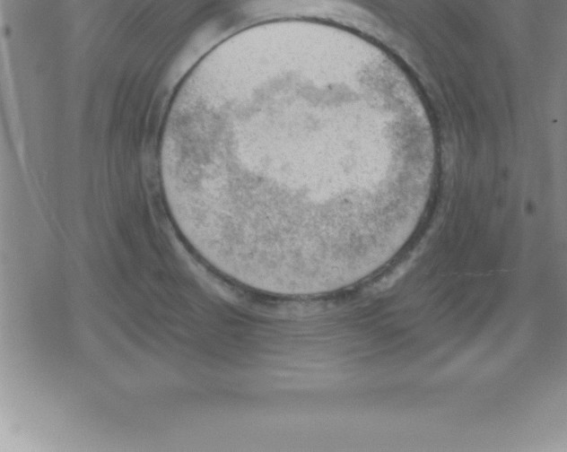 X0000079341521200612151855