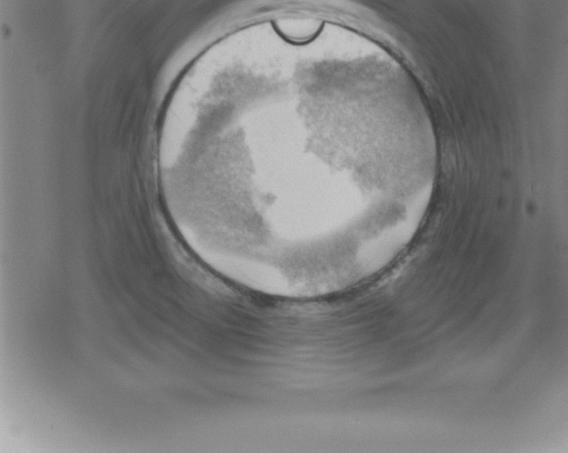 X0000079341522200612151855