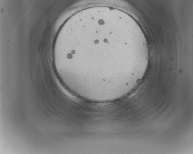 X0000079341523200612151855