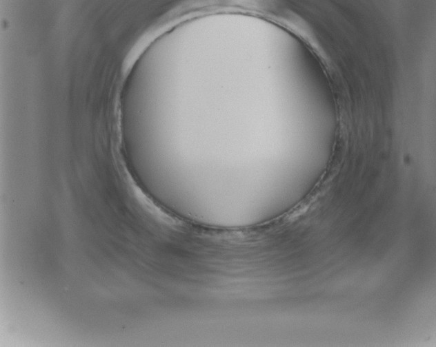 X0000079341524200612151855