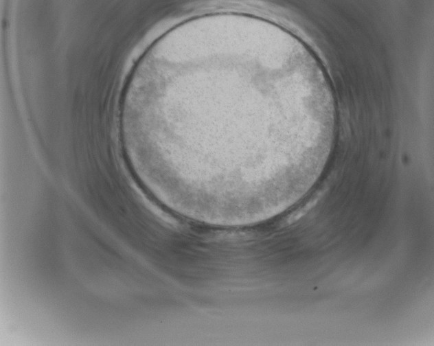 X0000079341525200612151855