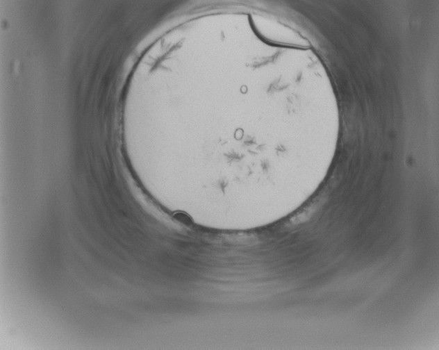 X0000079341526200612151855