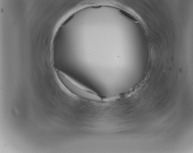 X0000079341528200612151855