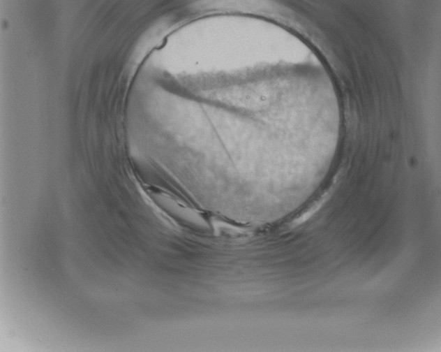 X0000079341529200612151855