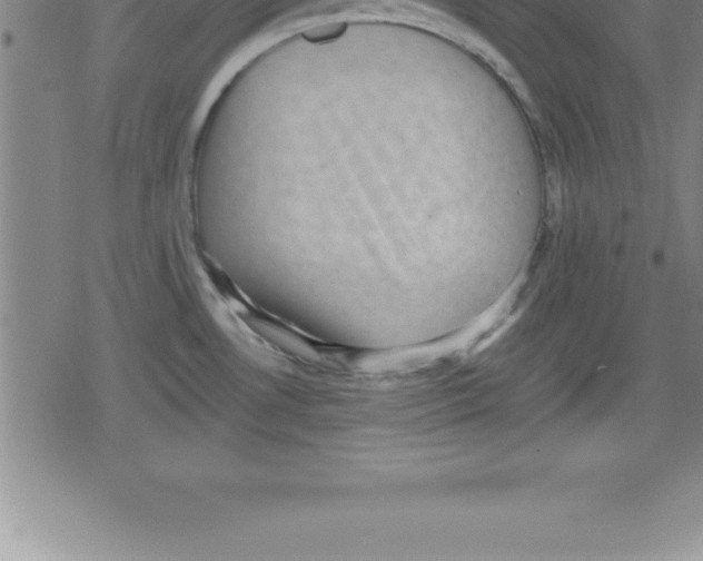 X0000079341530200612151855