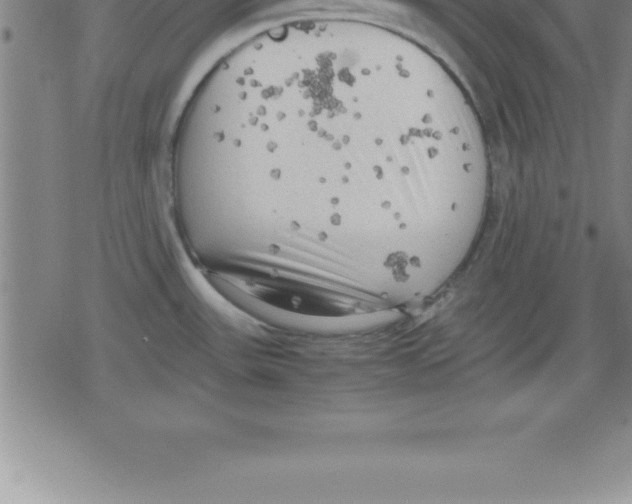 X0000079341531200612151855