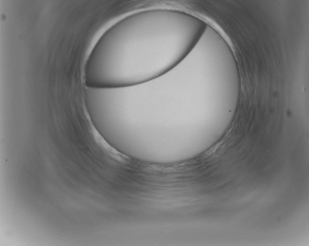 X0000079341532200612151855