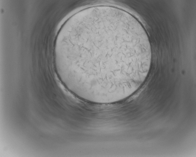 X0000079341534200612151855