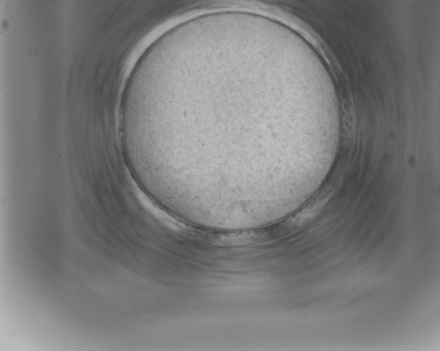 X0000079341535200612151855