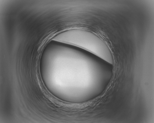 X0000079580001200612010938