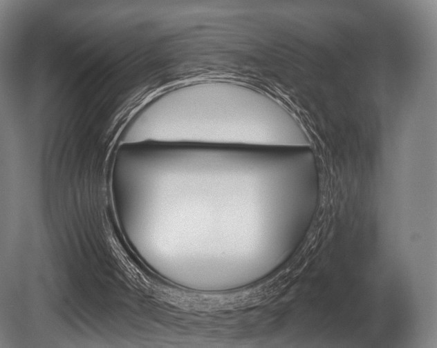 X0000079580002200612010938