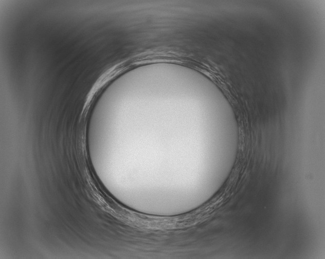X0000079580004200612010938