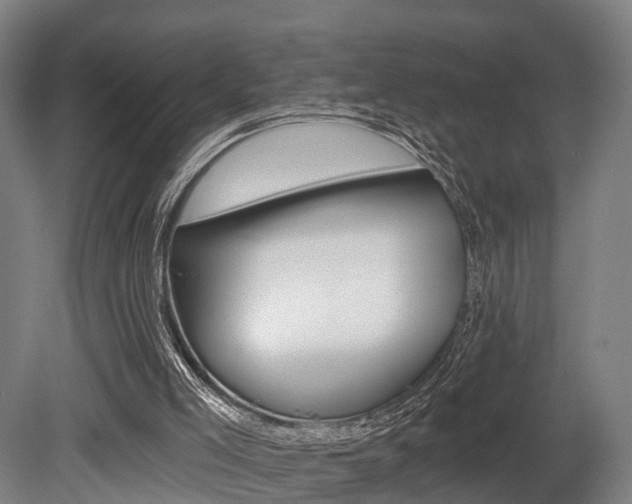 X0000079580005200612010938