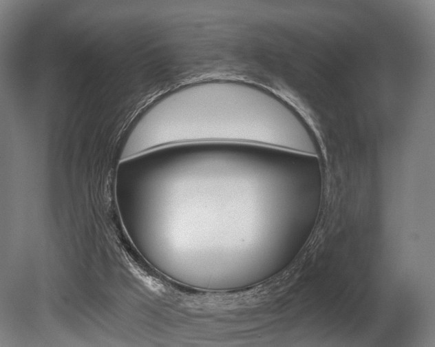 X0000079580009200612010937