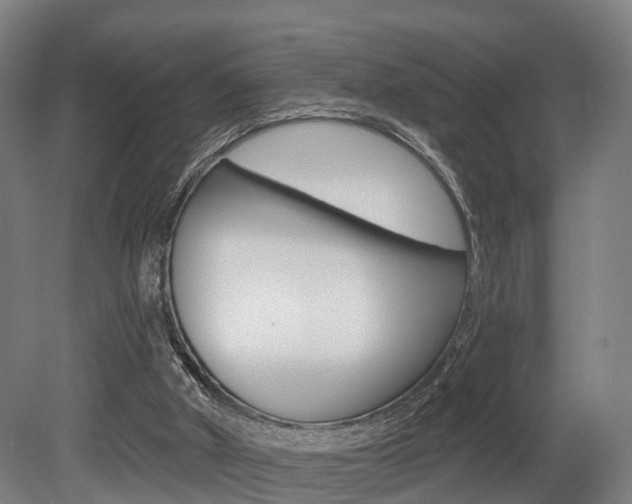 X0000079580010200612010937