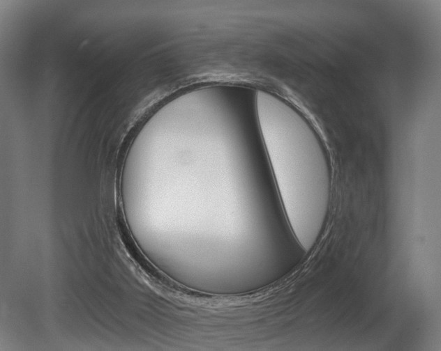 X0000079580011200612010937
