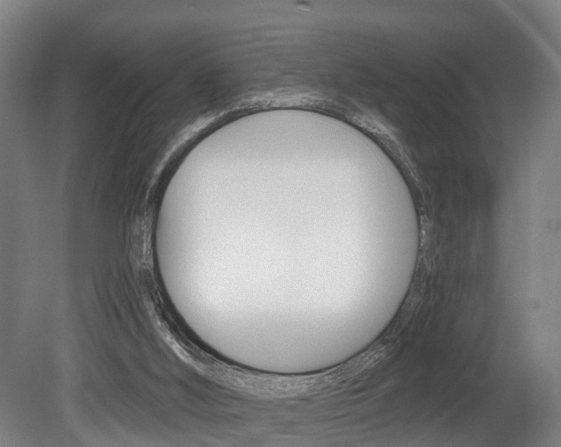 X0000079580012200612010937