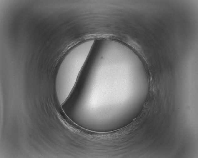 X0000079580013200612010937