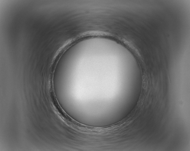 X0000079580015200612010937