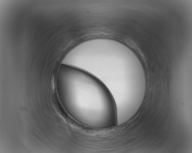 X0000079580021200612010937