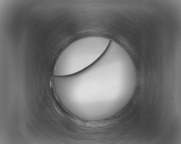 X0000079580022200612010937