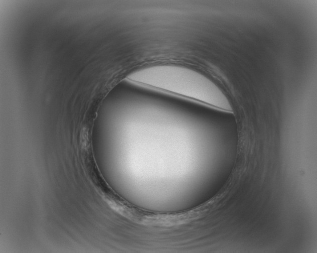 X0000079580025200612010937