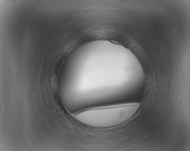 X0000079580029200612010937