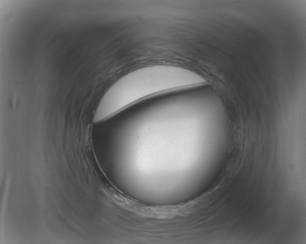 X0000079580033200612010937