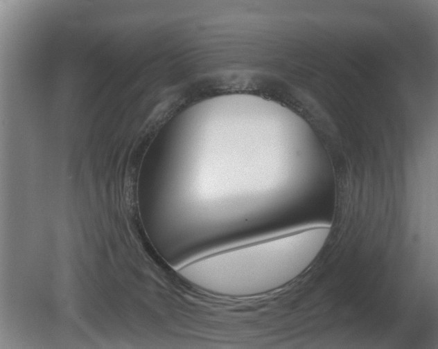 X0000079580035200612010937