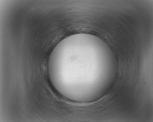 X0000079580040200612010937