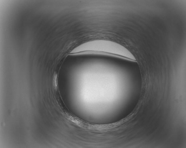 X0000079580041200612010937