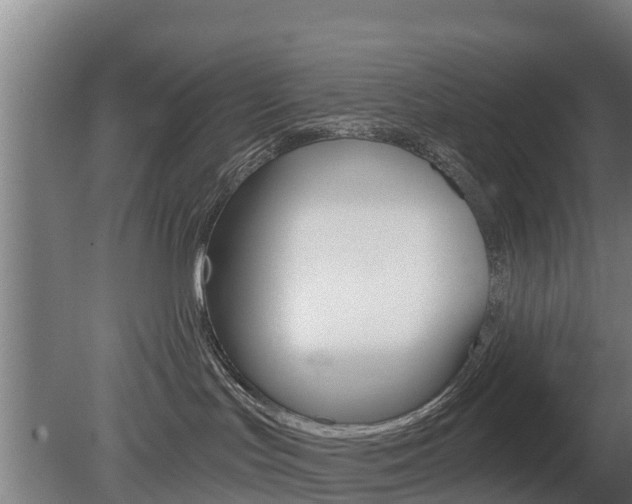 X0000079580047200612010937