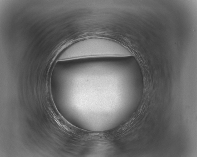 X0000079580050200612010936