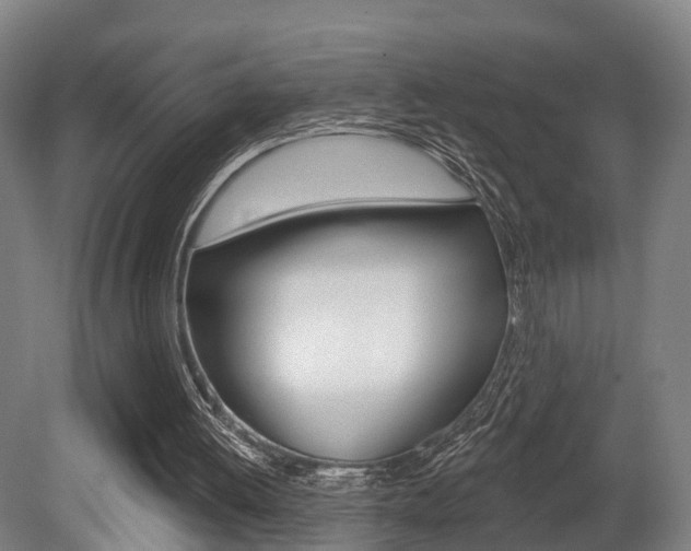 X0000079580052200612010936