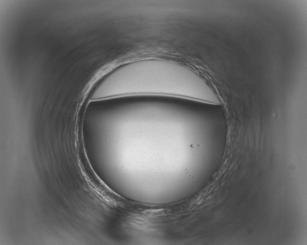 X0000079580054200612010936